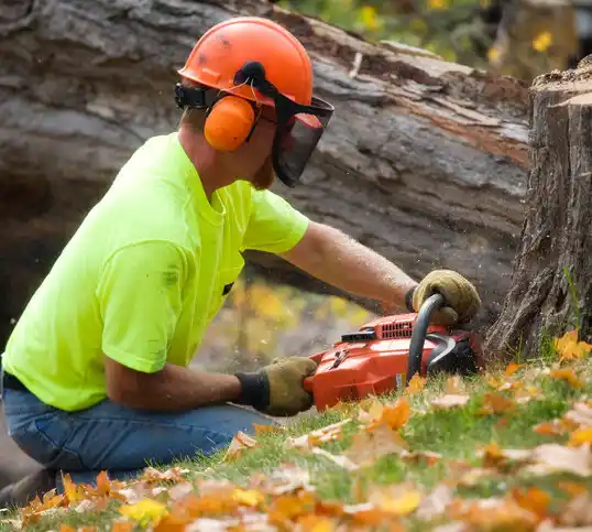 tree services Wellston